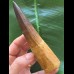13,8 cm schön erhaltener, massiver Zahn des Spinosaurus