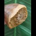 5,1 cm sehr schön erhaltener Zahn des Carcharodontosaurus