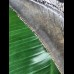 11,1 cm dunkler Unterkiefer Zahn des Megalodon 11,1 cm dunkler Unterkiefer Zahn des Megalodon