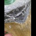 10,8 cm brauner Zahn des Megalodon 10,8 cm brauner Zahn des Megalodon
