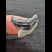 2,4 cm wonderfully preserved tooth of the tiger shark