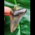 4.9 cm blue-brown Megalodon tooth pendant