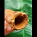 9.9 cm massive reddish tooth of Spinosaurus