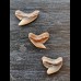 Set of 3 fossilised teeth of Galeocerdo aduncus