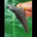 6,5 cm schwarzer dolchförmiger Zahn des Megalodon
