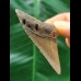 5.9 cm brown tooth of the Megalodon