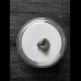 Ptychodus whipplei Shark - Tooth #2