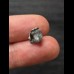 Ptychodus whipplei Shark- Tooth #4