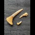Pristiophorus lanceolatus (Sawfish †) - Set of 3 teeth