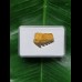 2.5 cm Notorynchus primigenius (gray shark †) - shark tooth from Eckelsheim #7