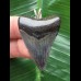 3,9 cm dunkler dolchförmiger  Zahn des Megalodon als Anhänger