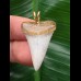 3,0 cm weißer spitzer Zahn des Mako Hai als Anhänger