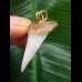 3,0 cm weißer spitzer Zahn des Mako Hai als Anhänger