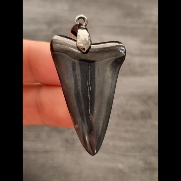 4.2 cm dark blue mako shark tooth pendant