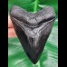 10,8 cm schwarze Replika des Megalodon