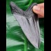 11,1 cm schwarze Replika eines Megalodon Zahnes