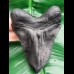 10,8 cm schwarze Replika eines Megalodon Zahnes