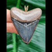 Shark tooth pendants (44)