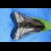 16.7cm Replika Megalodon pechschwarze Farbe