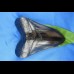 16.7cm replika megalodon pechschwarze farbe