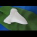 6,9cm replika carcharocles angustidens schneeweiße farbe