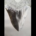 16,8cm gigantische Replika of Megalodon shark