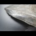14,9 cm riesiger guter Zahn des Megalodon