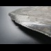 14,9 cm riesiger guter Zahn des Megalodon