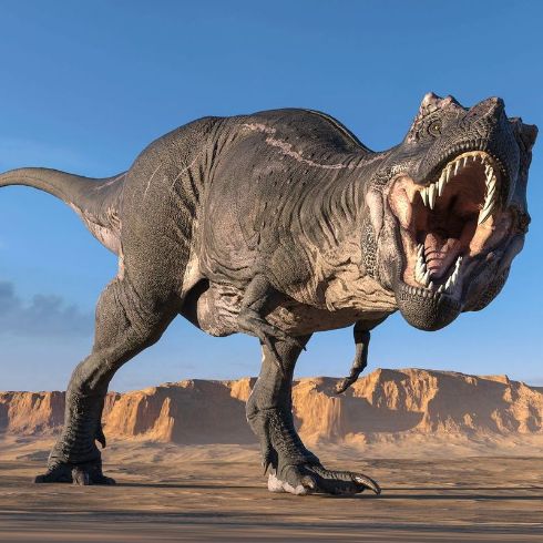 Carcharodontosaurus Dinosaurier in der Wüste ©DM7 - stock.adobe.com