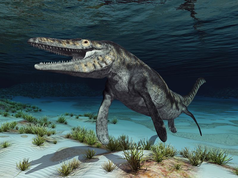 Mosasaurus beaugei-T-Rex der Meere