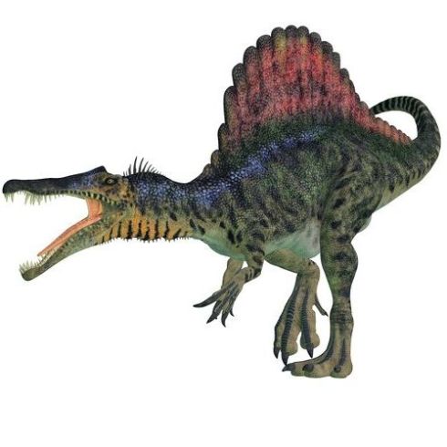 Spinosaurus größter Landraubsaurier Dinosaurier ©la source de l'info - stock.adobe.com